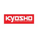 Verantwortlicher nach GPSR

FDL Kyosho Europe...