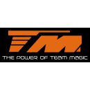 Team Magic