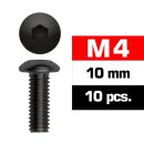 Ultimate UR162410 M4x10mm Linsenkopfschraube 10 Stück